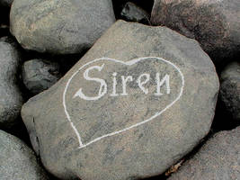 Stone on mole