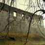 Castle ruins 168