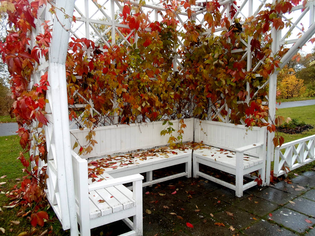 Arbor 7 by MASYON Arbor 7 by MASYON