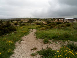 Kourion 152