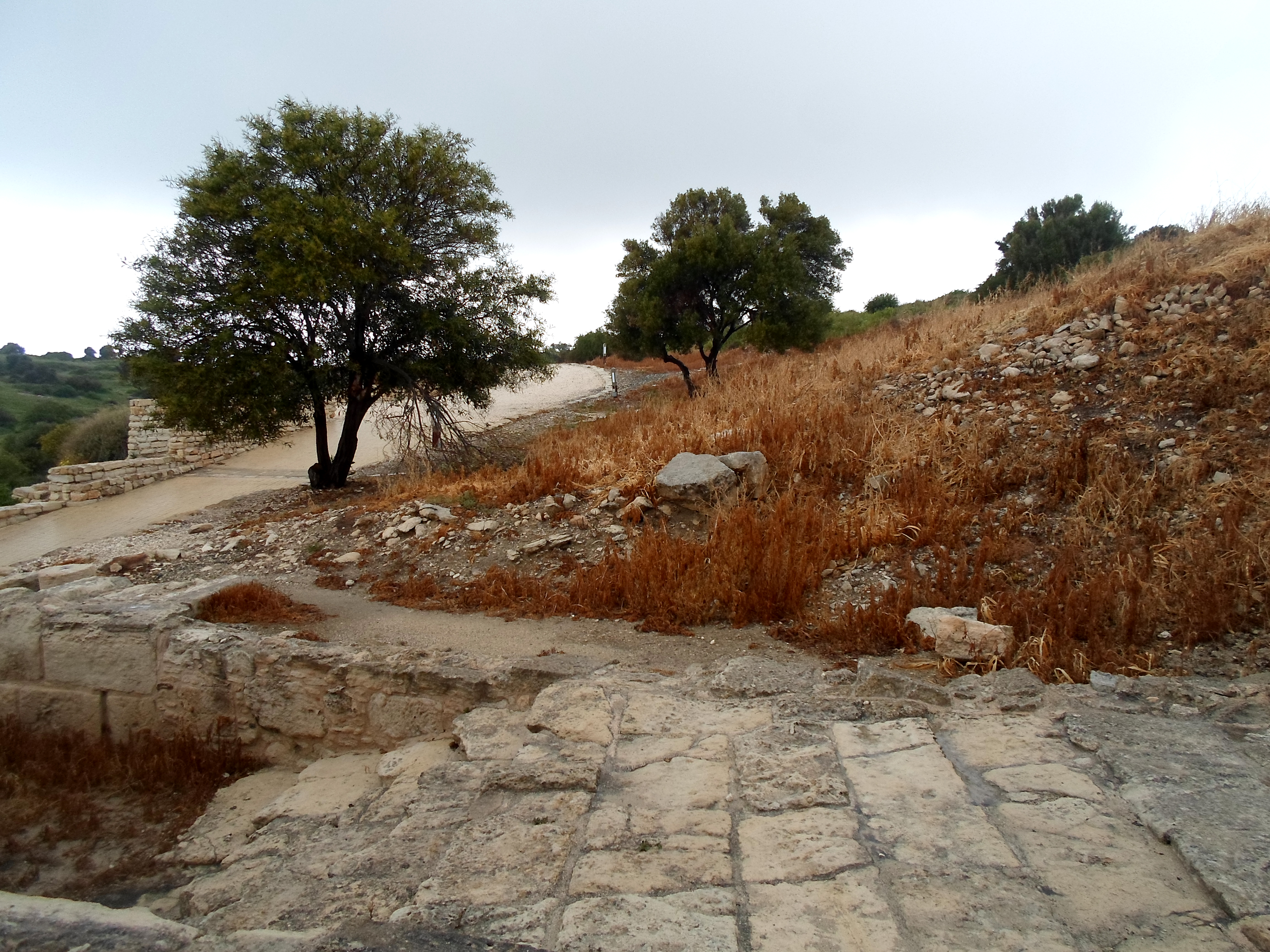 Kourion 241