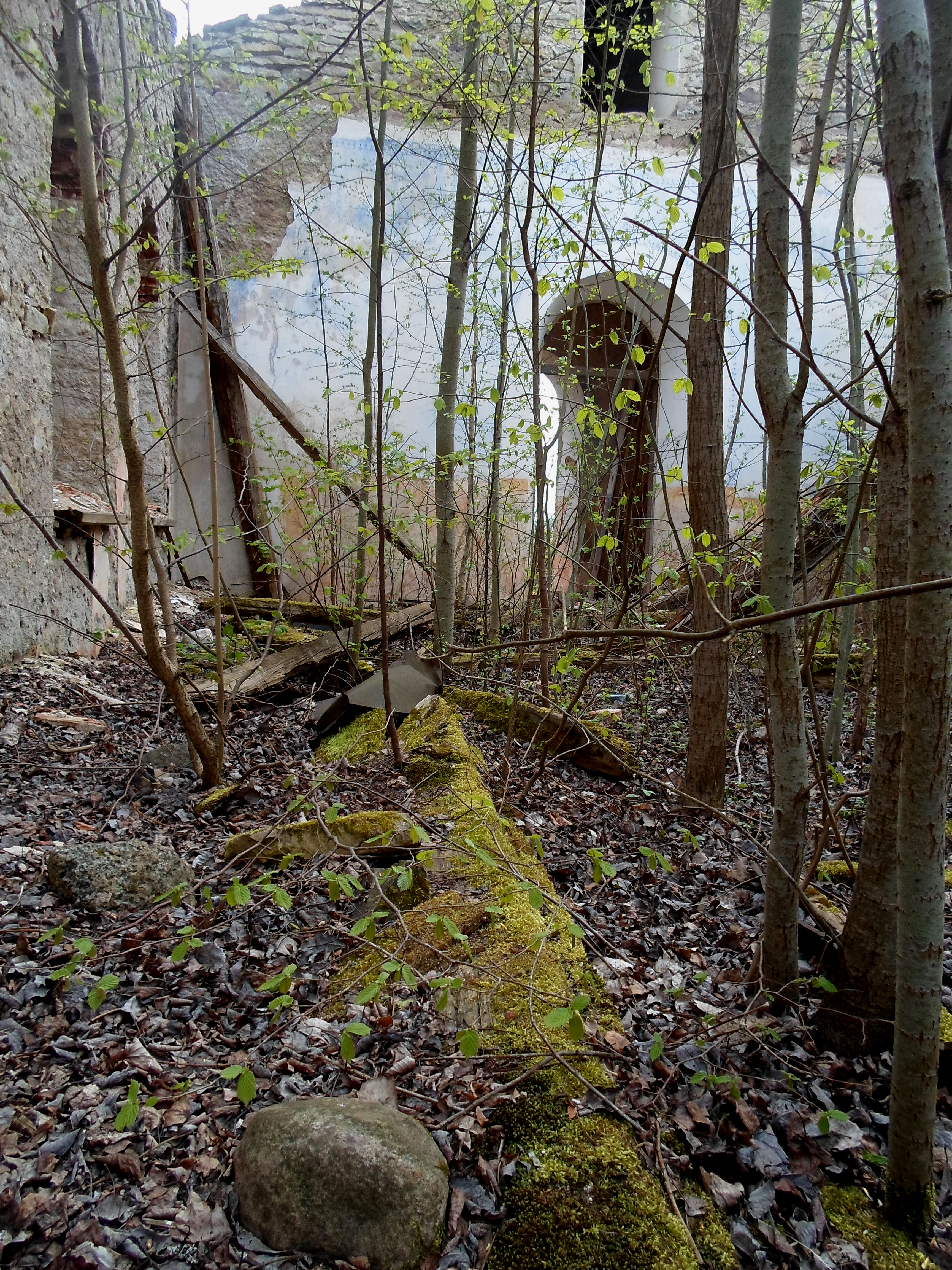 Kalli church ruins 93