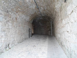 Passage 87