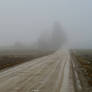 Fog 373