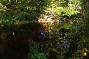 Waters 1530