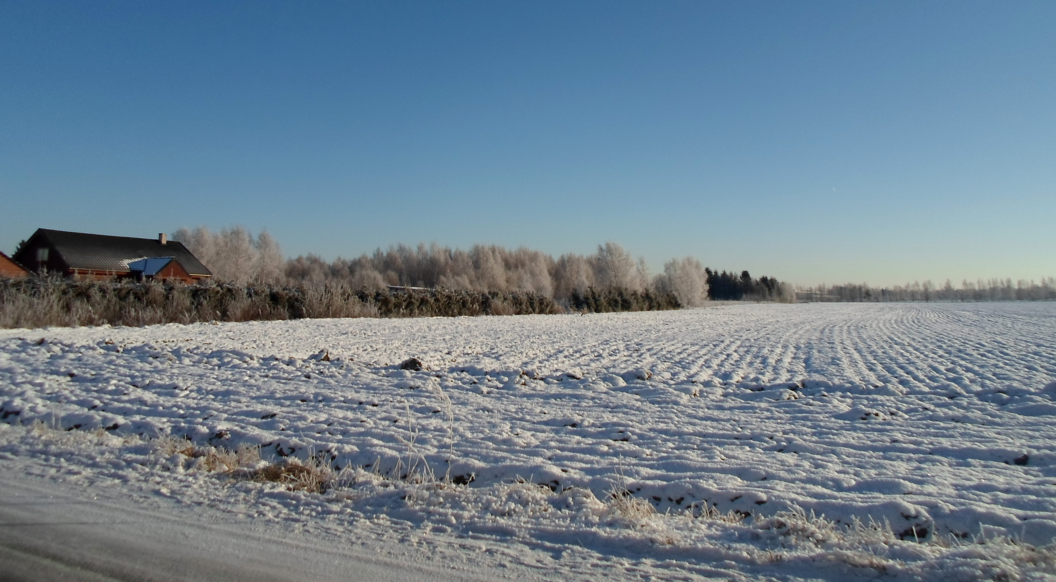 Estonian nature 240