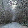 Snow 95