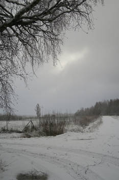 Winter 163