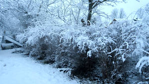 Winter 10