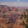 Grand Canyon 1981, Number 5