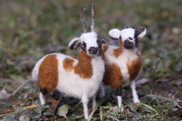 Needle felted Jacob Ram and Ewe