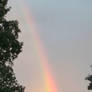 A Fresh Vivid Rainbow