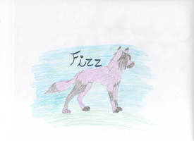 Fizz -adoptable-