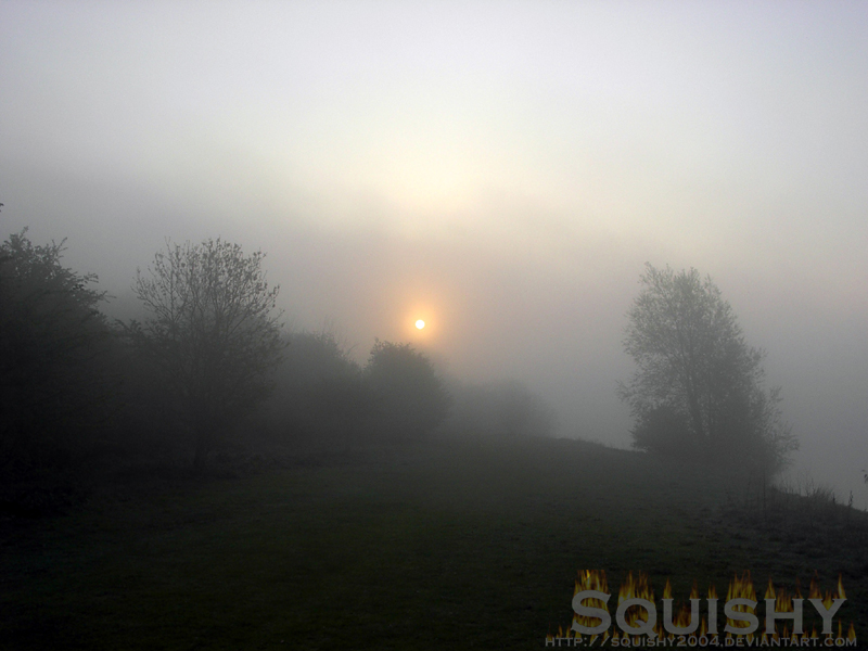 Sunrise Fog