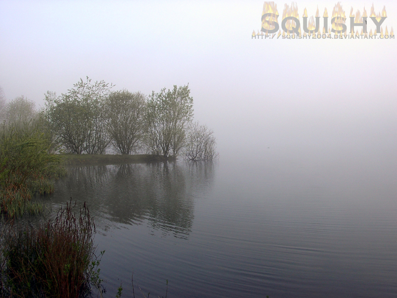 Morning Lake Mist