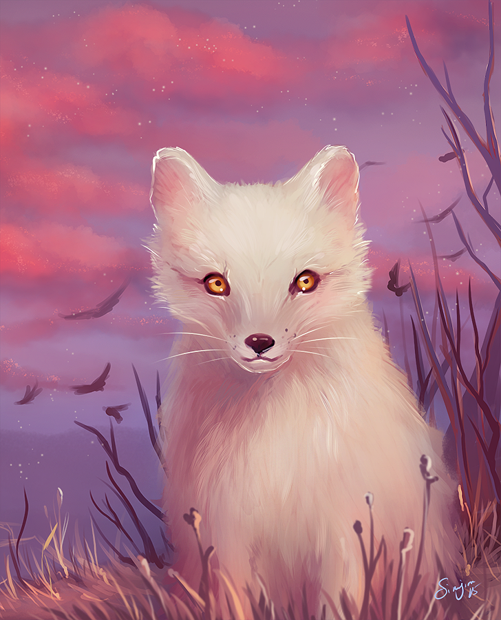 Arctic Fox pup by Simjim91
