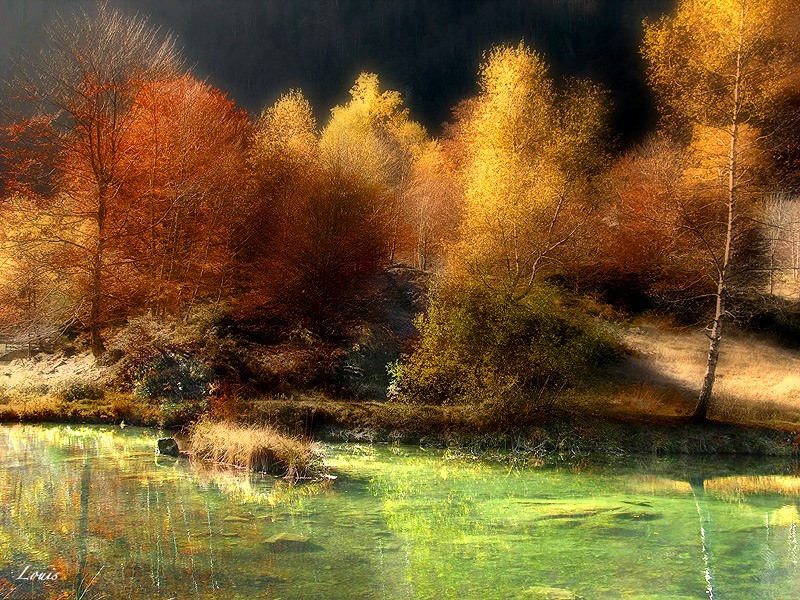 Couleurs d'automne