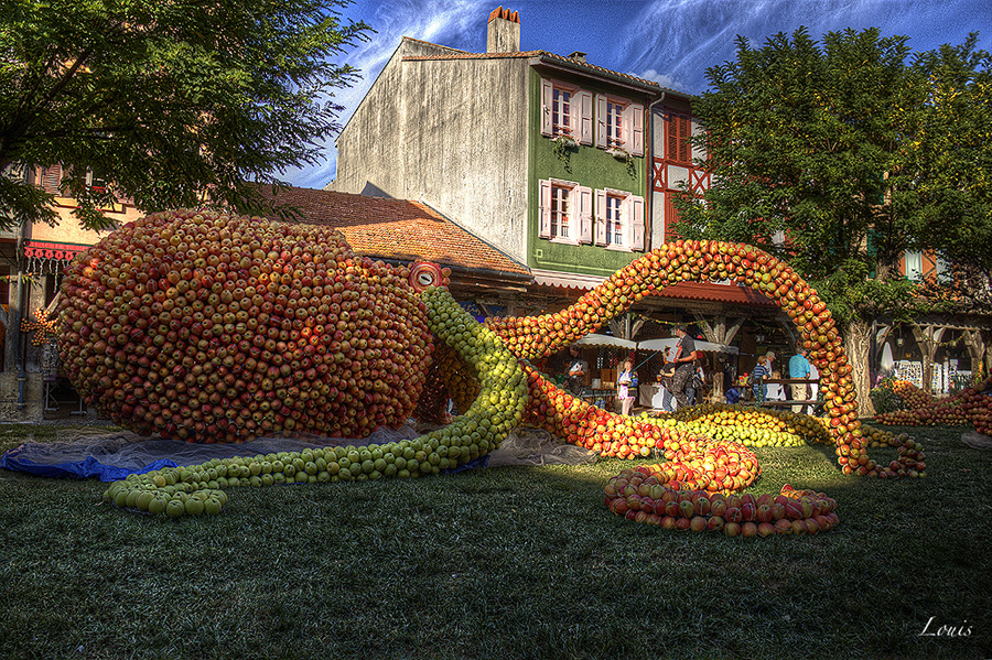 Mirepoix - France