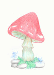 Mushroom dreams