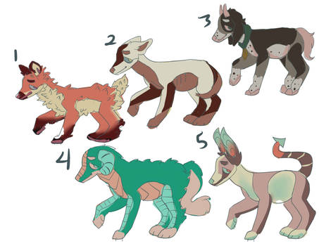 cheap adopts 1