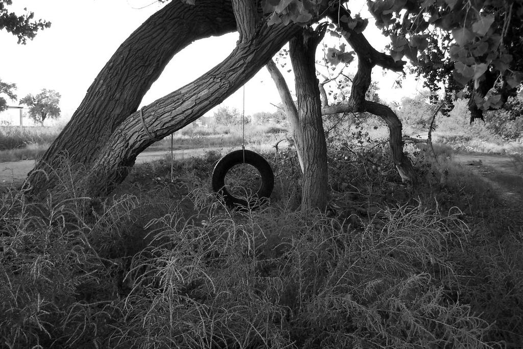 The Tire Swing by DEakaBlackDragon on DeviantArt