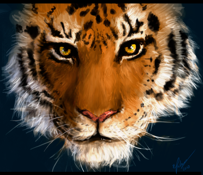 Tiger Speedpaint