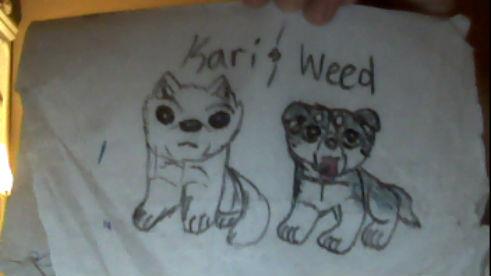 Kari and Weed as the pups