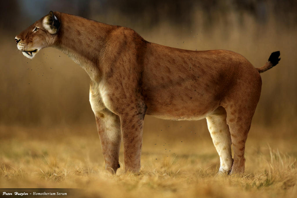 Homotherium Serum By Peterhutzler On DeviantArt homotherium-serum-by-peterhutzler-on-deviantart
