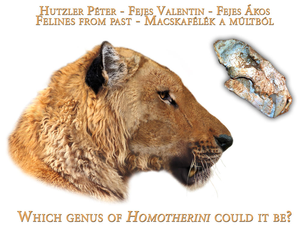 Homotheriini Homotherini-1 by Peterhutzler on DeviantArt