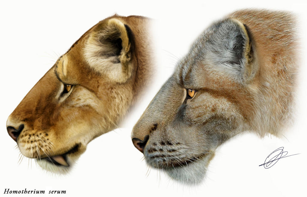 Homotherium serum by Peterhutzler on DeviantArt