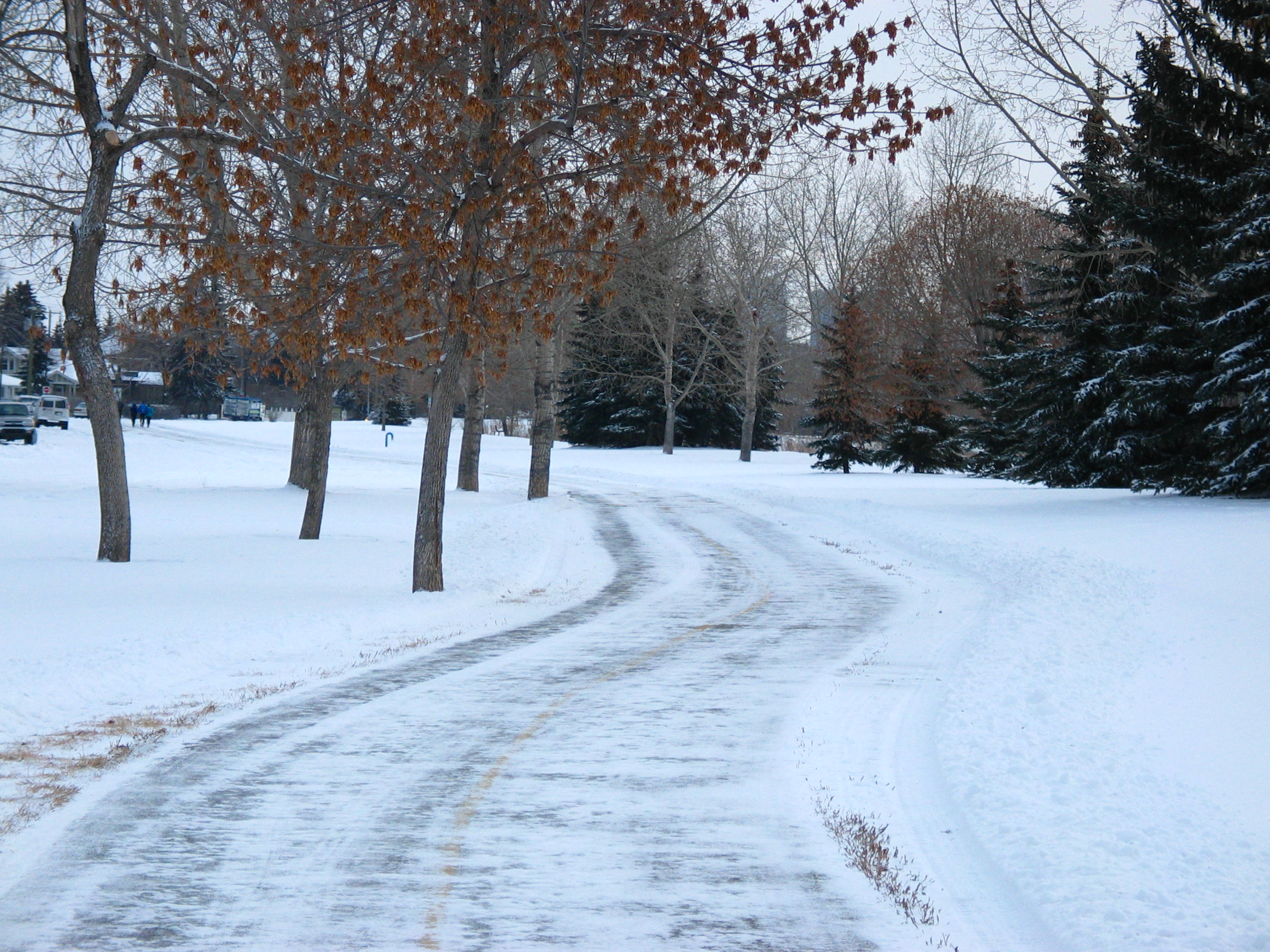 Frozen Path