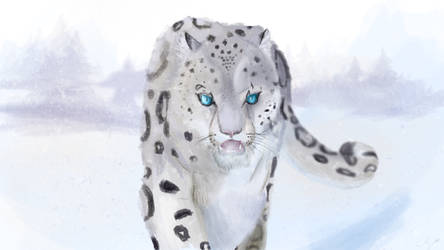 Snow Leopard