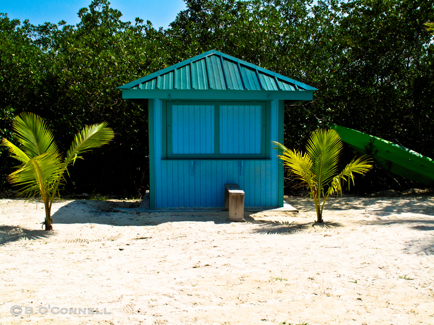 Caribbean Shack