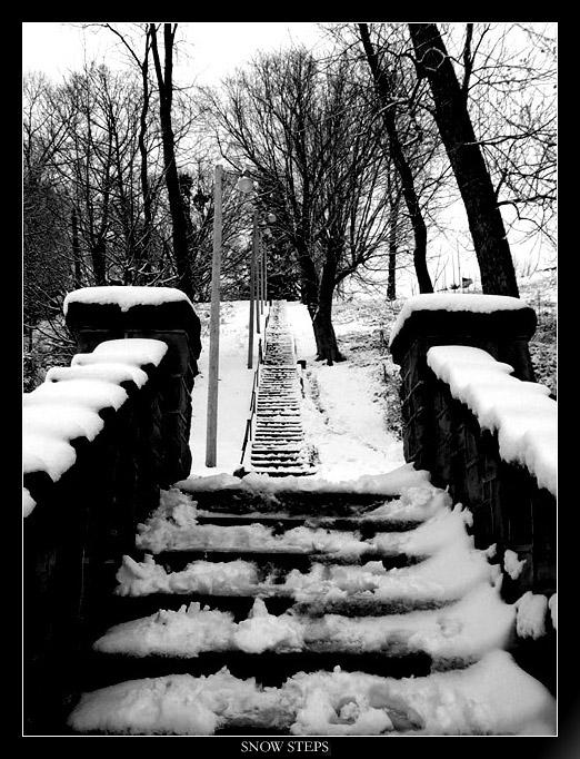 Snow Steps