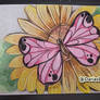 The Paper Butterfly