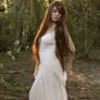 Wood Nymph 3