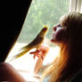 Girl with a Bird Stock