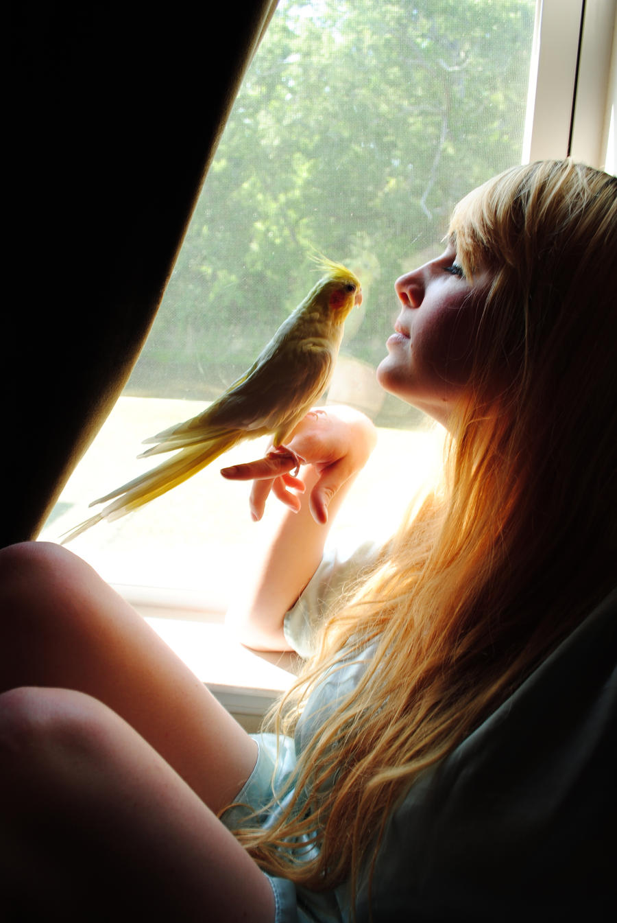 Girl with a Bird Stock