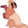 paw