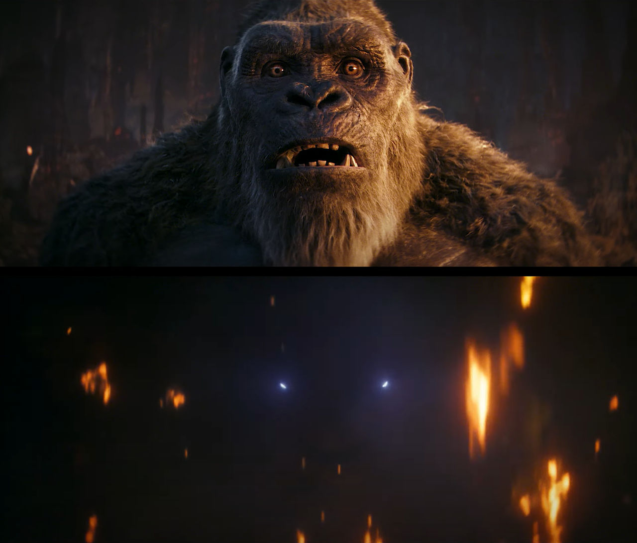 GXK 2024: Kong meeting Shimo by KaijuATTACK877 on DeviantArt