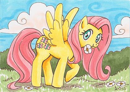 Shy Fluttershy