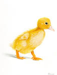 Quack by blightedangel