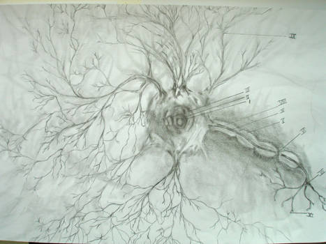 Neuronas illustrated