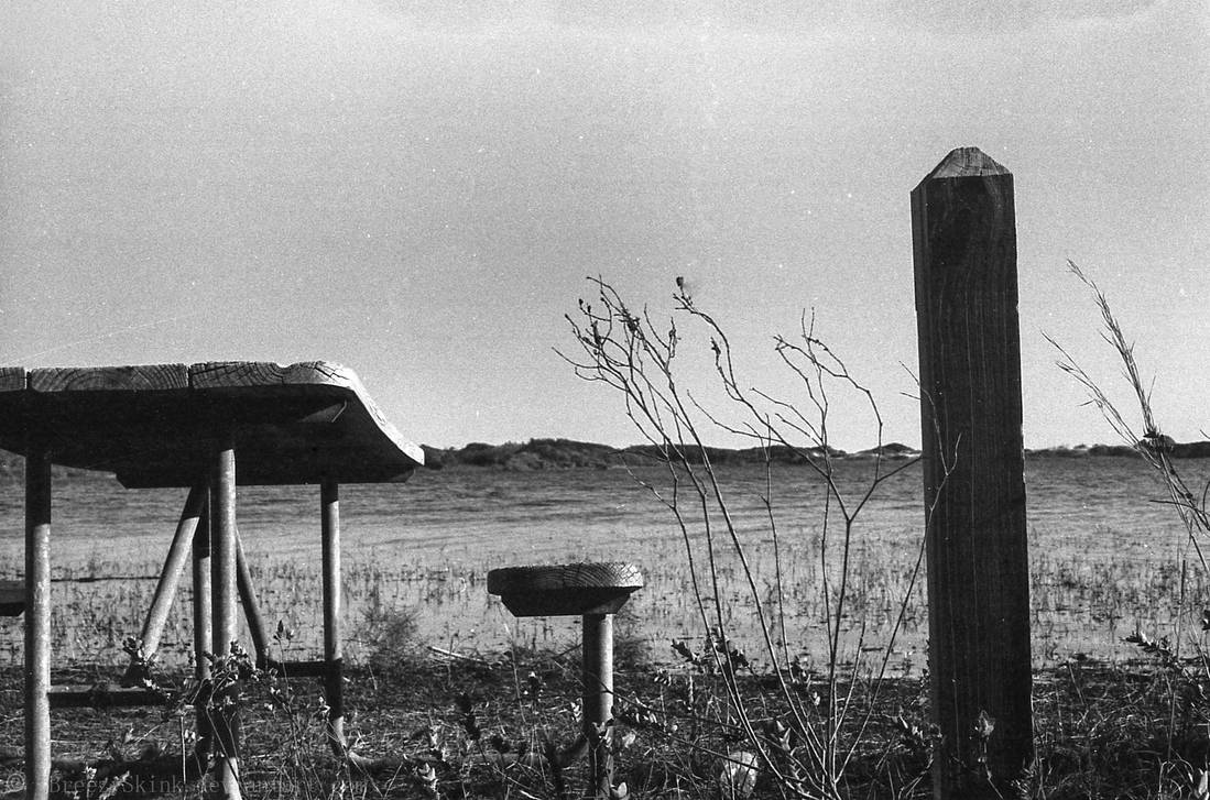 Forgotten Bench by BreezySkink on DeviantArt