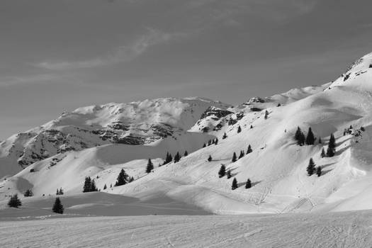 Snowy mountain