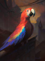 Macaw on the rooftops