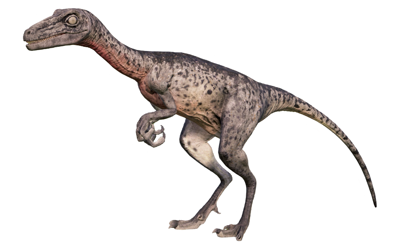 Troodon Body Troodon by Draco-Awesomeness on DeviantArt