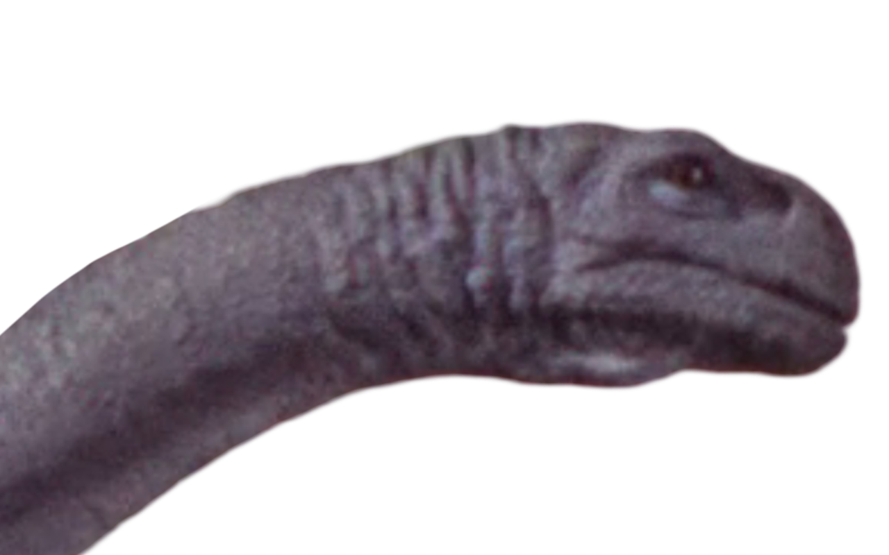Deviant Brontosaurus Brontosaurus by Draco-Awesomeness on DeviantArt