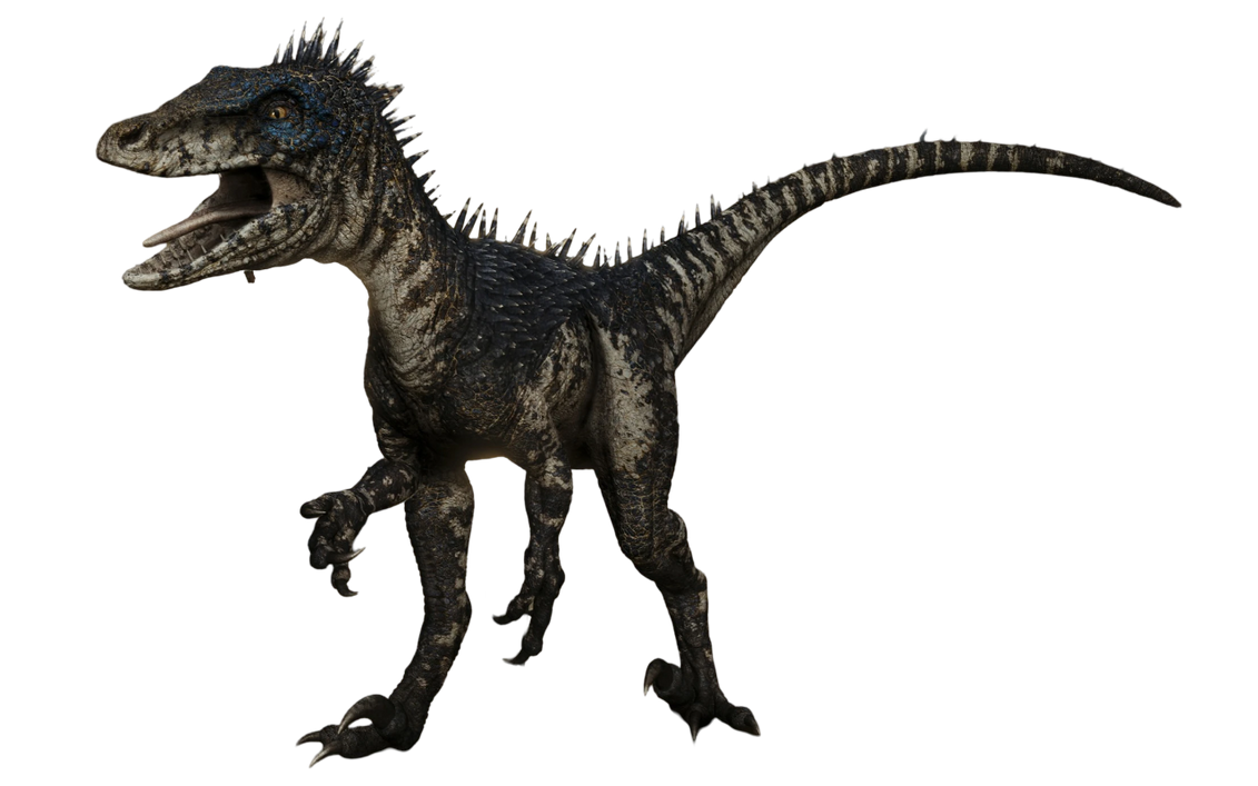 Raptor by Draco-Awesomeness on DeviantArt