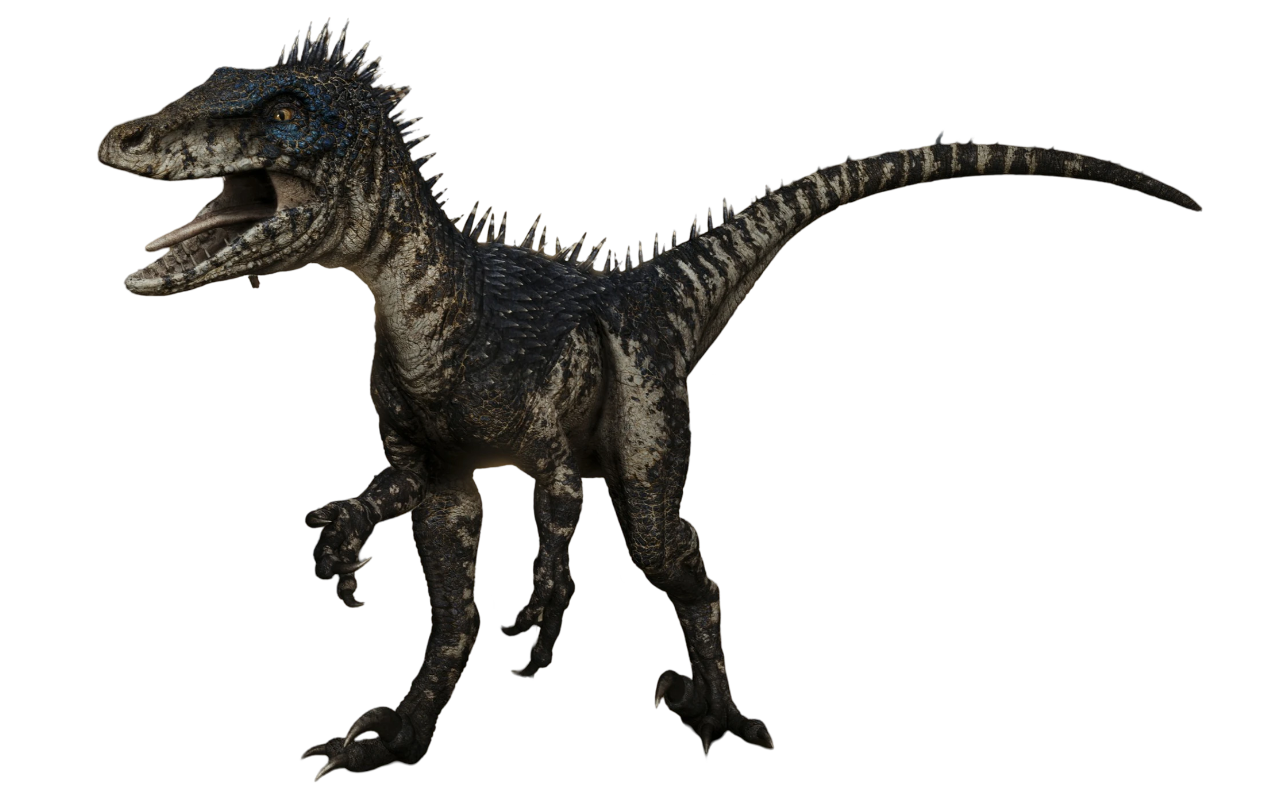 Raptor by Draco-Awesomeness on DeviantArt